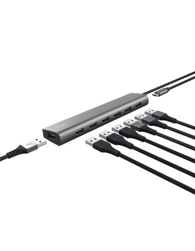 Trust Halyx USB 3.2 Gen 1 (3.1 Gen 1) Type-A 5000 Mbit s Plata