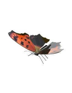 Metal Earth Eastern Comma