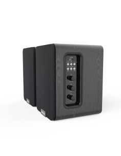 Aiwa ASP-A200 De 2 vías Negro Inalámbrico 25 W 2