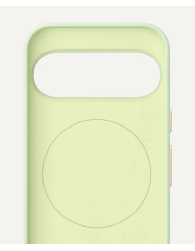Google Pixelsnap funda para teléfono móvil 17,3 cm (6.8") Verde