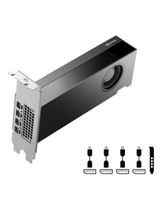 PNY NVIDIA RTX 2000 Ada Generation 16 GB GDDR6 2