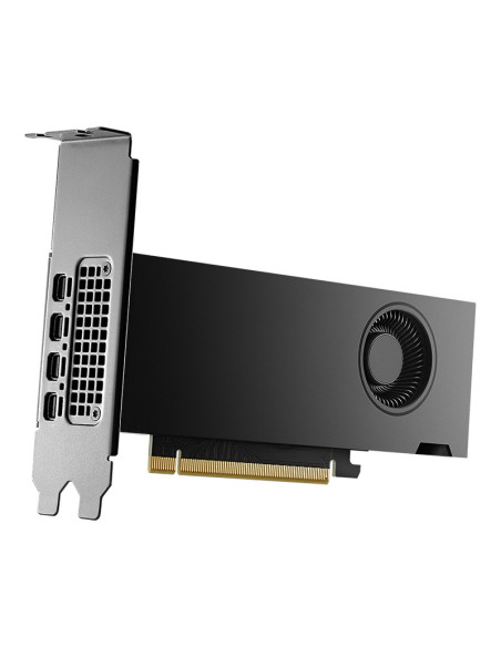 PNY NVIDIA RTX 2000 Ada Generation 16 GB GDDR6