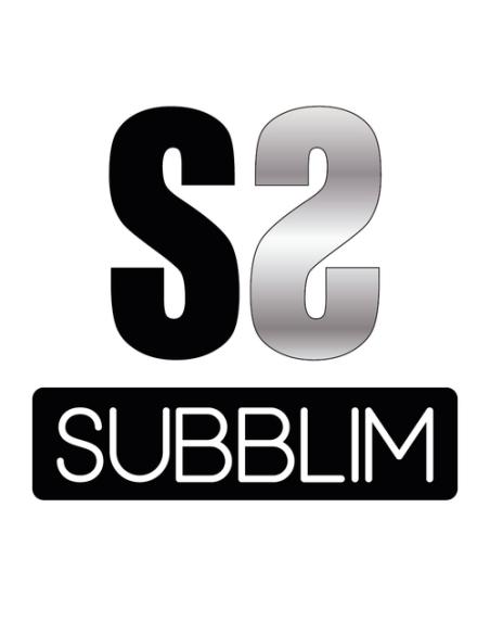 SUBBLIM NoteFlow Pen for iPad