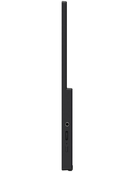 MSI PRO MP165 E6 monitor o TV portátil Monitor portátil Negro 39,6 cm (15.6") LED 1920 x 1080 Pixeles