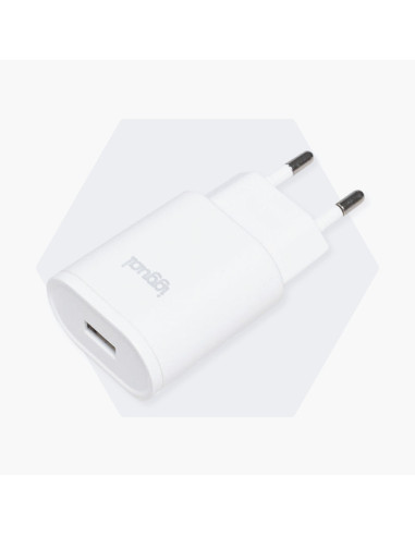 iggual IGG316924 cargador de dispositivo móvil Smartphone Blanco Corriente alterna Interior