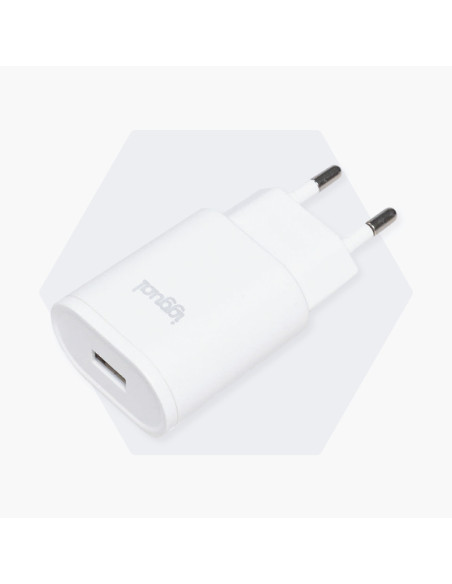 iggual IGG316924 cargador de dispositivo móvil Smartphone Blanco Corriente alterna Interior