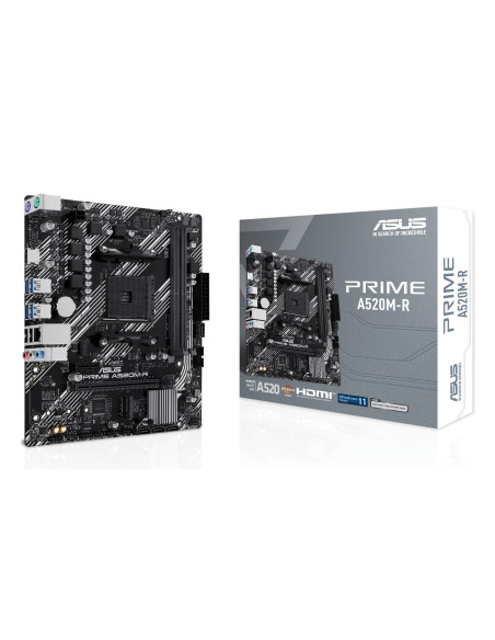 ASUS PRIME A520M-R AMD A520 Zócalo AM4 micro ATX