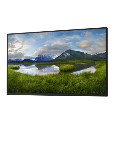 DELL Pro Plus P2425HE_WOST pantalla para PC 61 cm (24") 1920 x 1080 Pixeles Full HD LCD Negro
