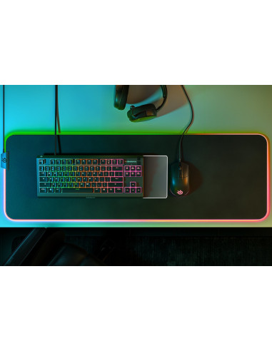 Steelseries APEX 3 TKL teclado Juego USB QWERTY Inglés de EE. UU. Negro
