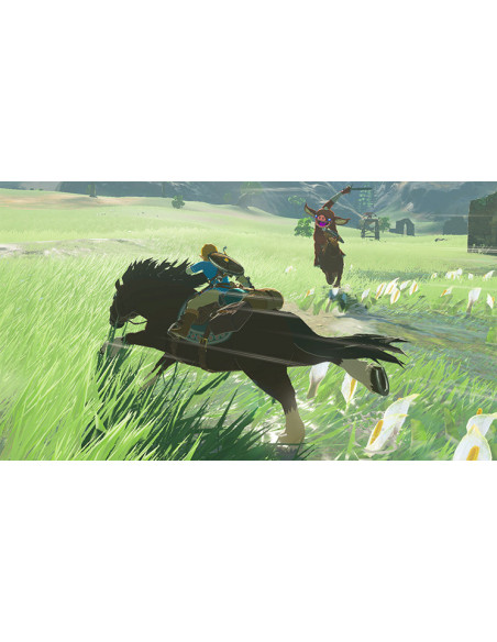 Nintendo The Legend of Zelda  Breath of the Wild Estándar Nintendo Switch