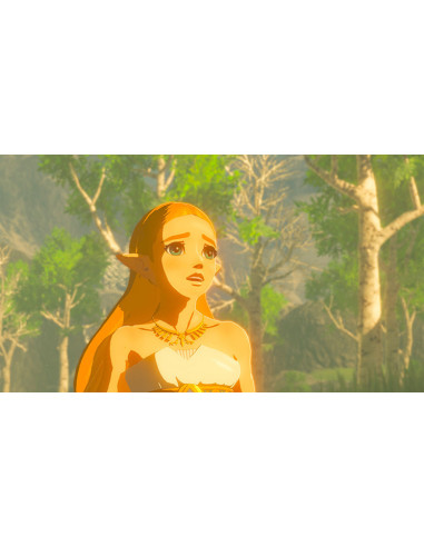 Nintendo The Legend of Zelda  Breath of the Wild Estándar Nintendo Switch