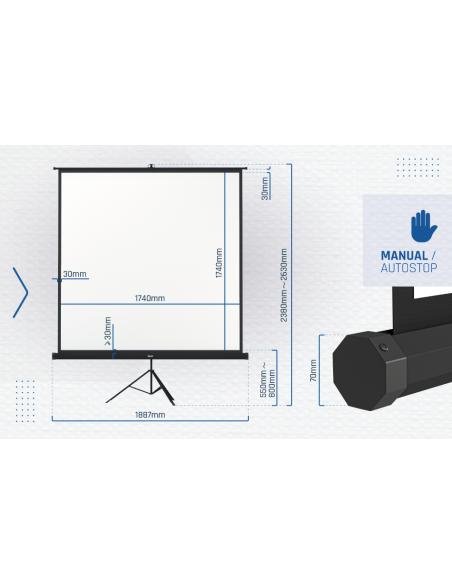 iggual Pantalla Mural 180x180cm con Trípode