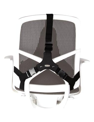 Fellowes Professional Series Negro