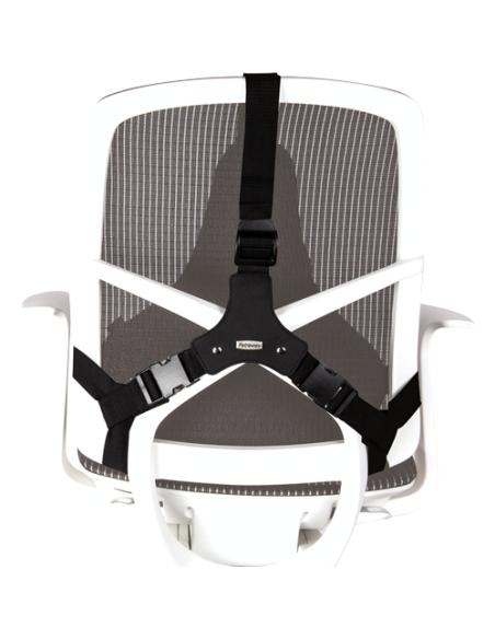 Fellowes Professional Series Negro