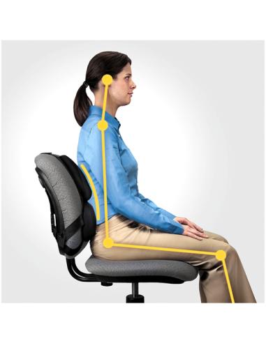 Fellowes Professional Series Negro