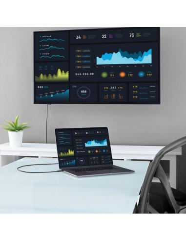 StarTech.com Cable de 2m USB-C a DVI - 1920 x 1200 - Negro