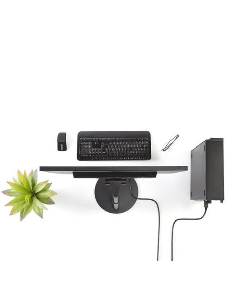 StarTech.com Cable 1,8m Adaptador de Vídeo DisplayPort a DVI - Conversor DP - Hasta 1920x1200 - Pasivo