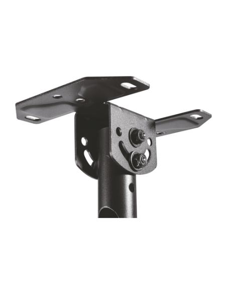 AISENS Soporte de techo giratorio, inclinable, extensible para monitor/TV 50kg de 23”-43”, Negro