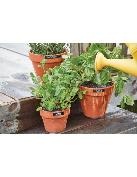 DYMO LabelManager 280 impresora de etiquetas Transferencia térmica D1 QWERTY