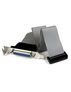 StarTech.com Adaptador de 40cm Header Cabezal Bracket Paralelo Perfil Bajo DB25 a IDC26 Pines Placa Base