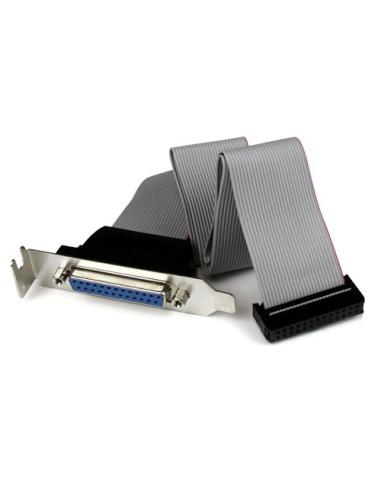 StarTech.com Adaptador de 40cm Header Cabezal Bracket Paralelo Perfil Bajo DB25 a IDC26 Pines Placa Base