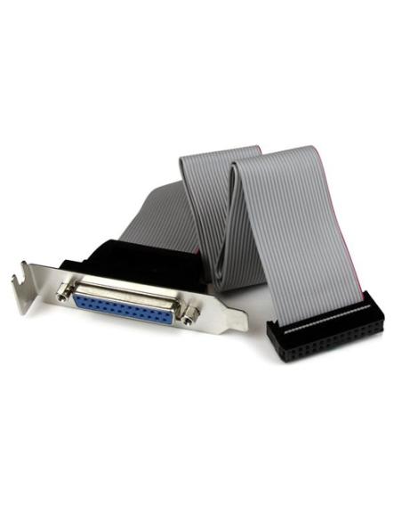 StarTech.com Adaptador de 40cm Header Cabezal Bracket Paralelo Perfil Bajo DB25 a IDC26 Pines Placa Base