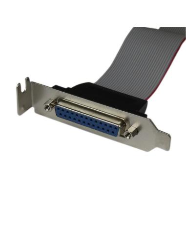 StarTech.com Adaptador de 40cm Header Cabezal Bracket Paralelo Perfil Bajo DB25 a IDC26 Pines Placa Base