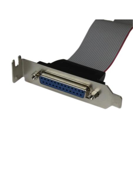 StarTech.com Adaptador de 40cm Header Cabezal Bracket Paralelo Perfil Bajo DB25 a IDC26 Pines Placa Base