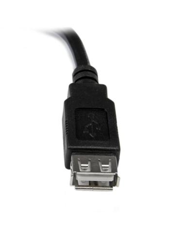 StarTech.com Cable de 0,15m de Extensión Alargador USB 2.0 - Macho a Hembra USB A - Extensor