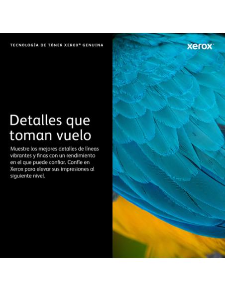 Xerox Cartucho del cilindro