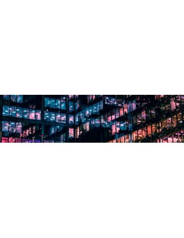 AOC P1 X24P1 pantalla para PC 61 cm (24") 1920 x 1200 Pixeles WUXGA LED Negro