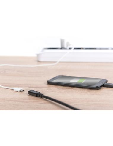 Digitus Cable alargador USB Type-C Gen2, Type-C a C