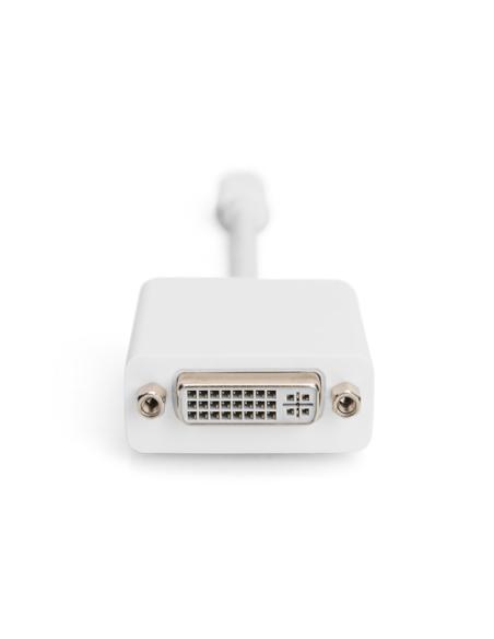Digitus Cable adaptador DisplayPort