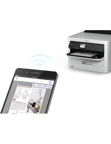 Epson DURABrite Pro