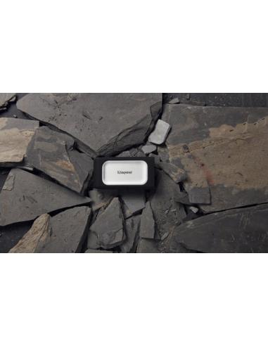 Kingston Technology 1000G SSD portátil XS2000