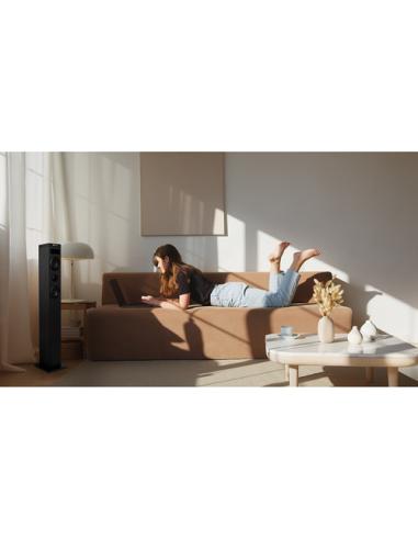 NGS Sky Charm 2.1 Microcadena de música para uso doméstico 40 W Negro