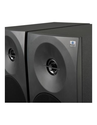 Woxter DL-410 BT De 1 vía Negro Alámbrico 150 W