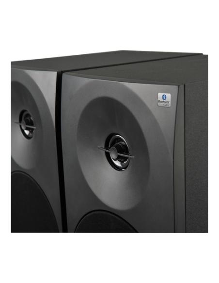 Woxter DL-410 BT De 1 vía Negro Alámbrico 150 W