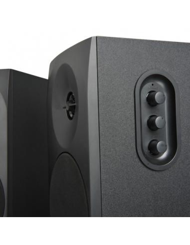 Woxter DL-410 BT De 1 vía Negro Alámbrico 150 W