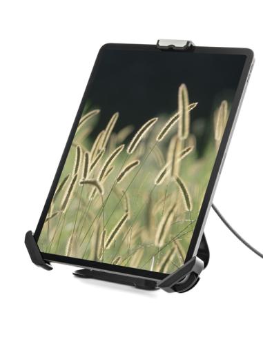 StarTech.com Soporte Seguro para Tablet con Cable de Seguridad con Candado K-Slot - Base para Tablets de 7,9 a 13 Pulgadas - Sop
