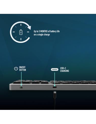 NGS FORTUNE-BT ESPAÑOL