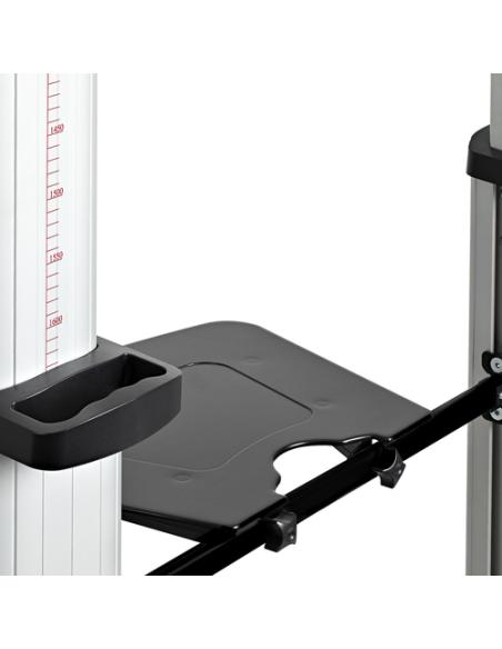 StarTech.com STNDMTVDUO soporte para TV 152,4 cm (60") Negro, Plata