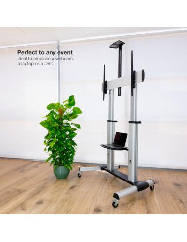 TooQ Partenón 2,54 m (100") Plata