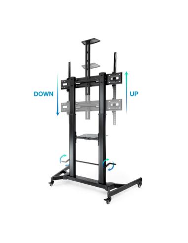 TooQ ZEUS 2,54 m (100") Negro