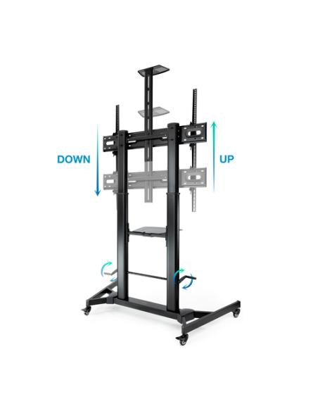 TooQ ZEUS 2,54 m (100") Negro