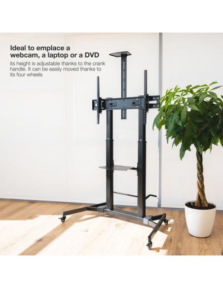 TooQ ZEUS 2,54 m (100") Negro