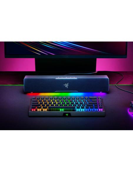 Razer Leviathan V2 X Negro 65 W