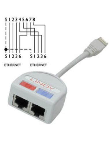 Lindy UTP Port Doubler cable de red Gris