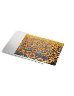 Esselte 67691 alfombrilla para ratón Transparente, Blanco 2