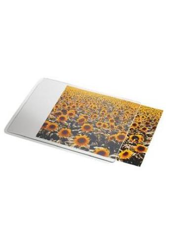 Esselte 67691 alfombrilla para ratón Transparente, Blanco